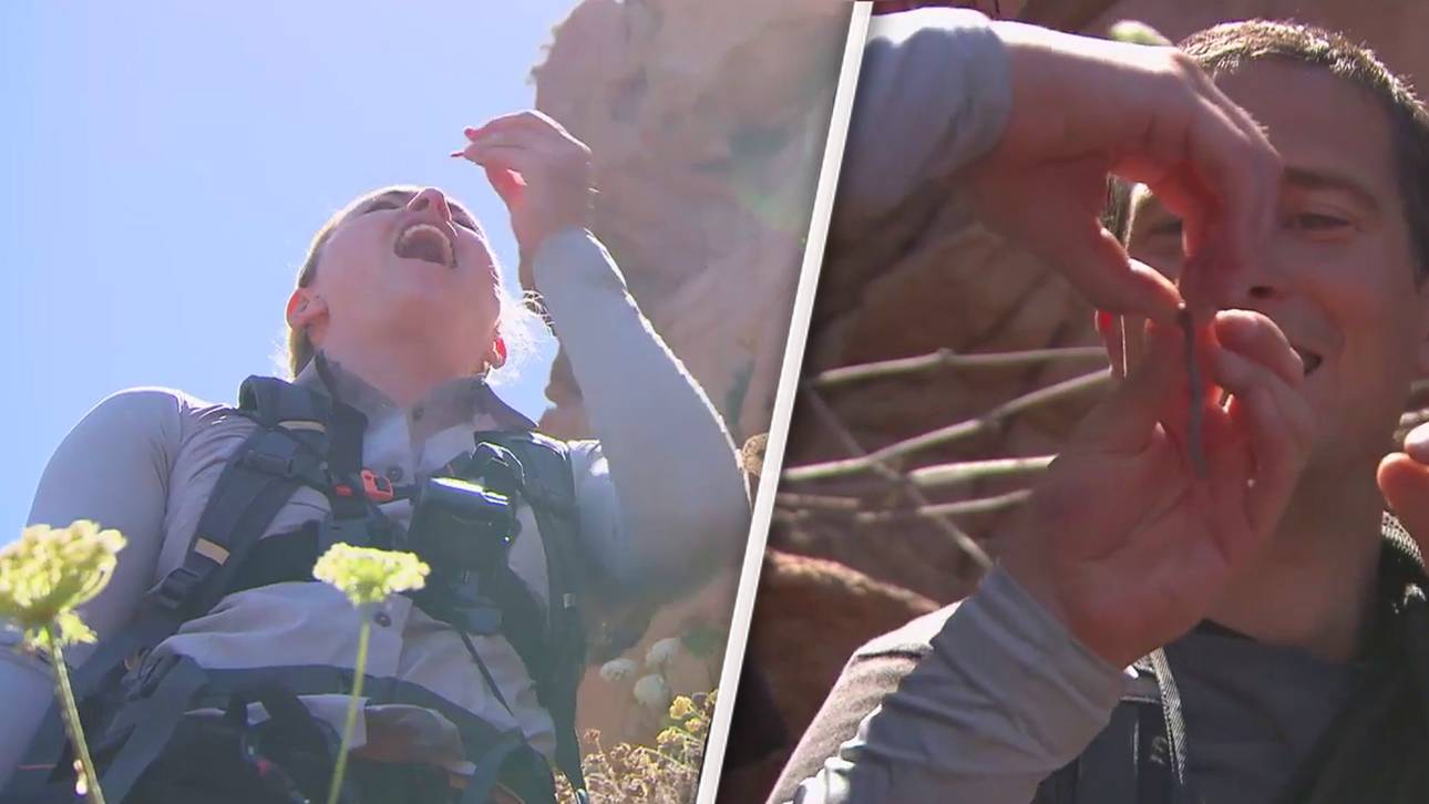 Mahlzeit! Vonn isst Regenwurm