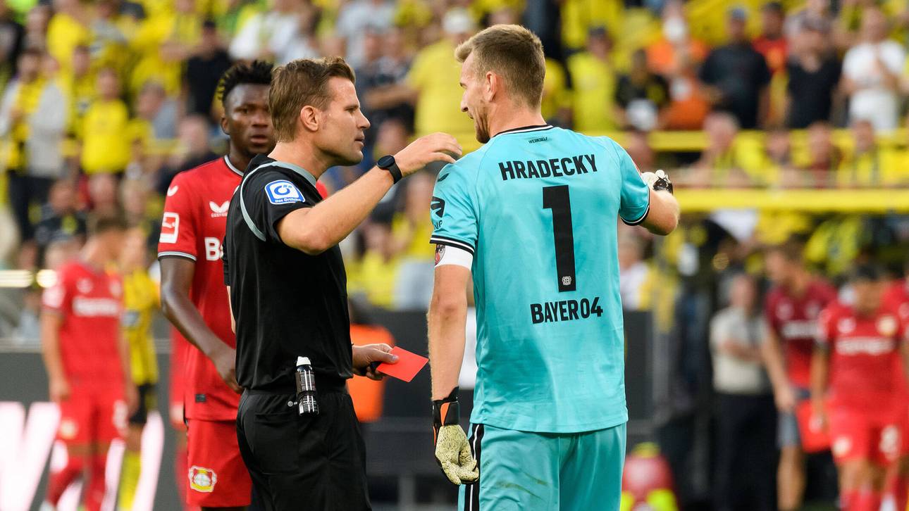 Schiedsrichter erklärt Bayer-Rot