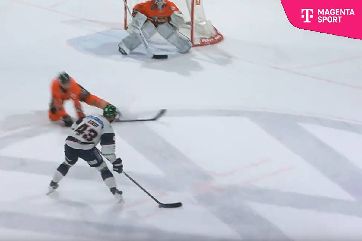 Der Meister läuft heiß: Eisbären außer Rand und Band