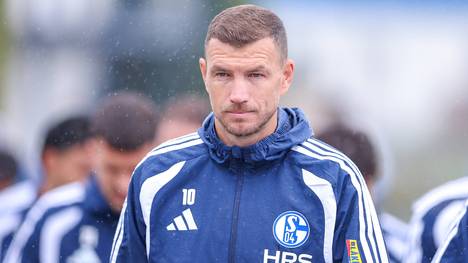 Edin Džeko hat ohne Frage den größten Starfaktor in der Schalker Mannschaft. Aber kann er den Königsblauen auch auf dem Platz weiterhelfen? Sport1-Experte Peter Neururer gibt in  "45 - Die Fußball-Halbzeit" eine Prognose ab.