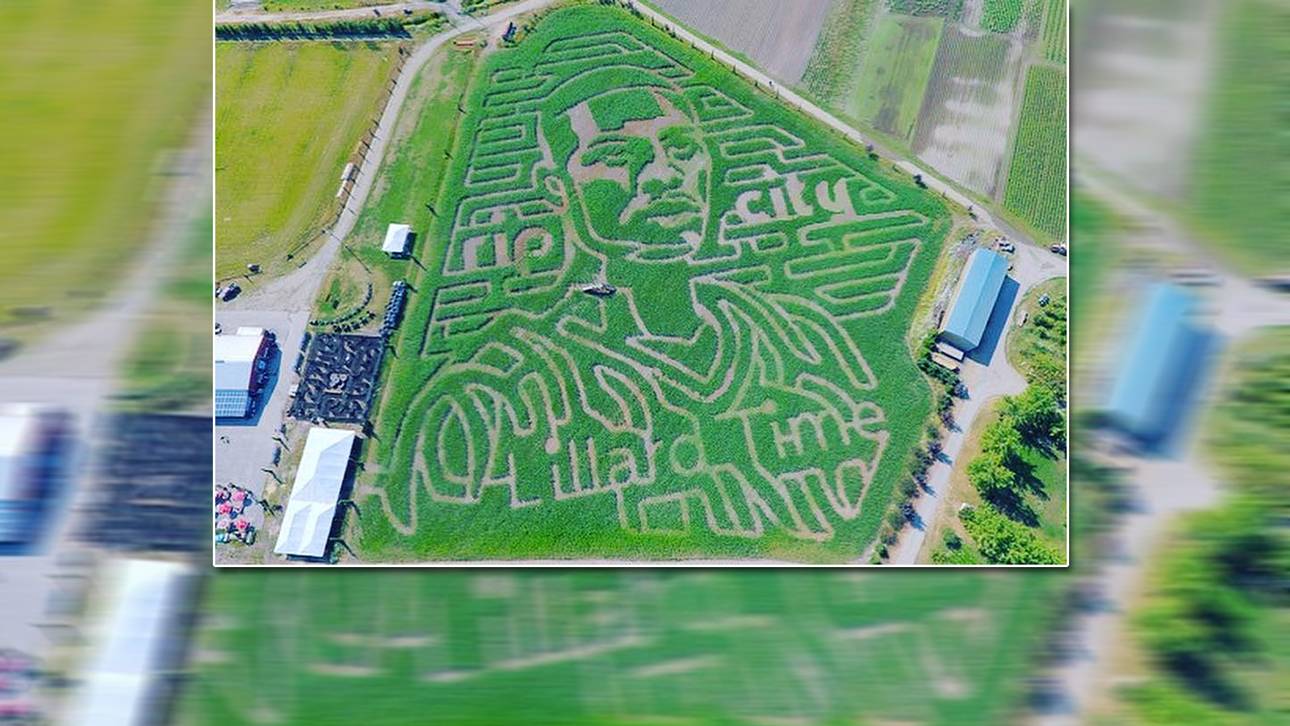 NBA-Star ziert Maisfeld-Labyrinth