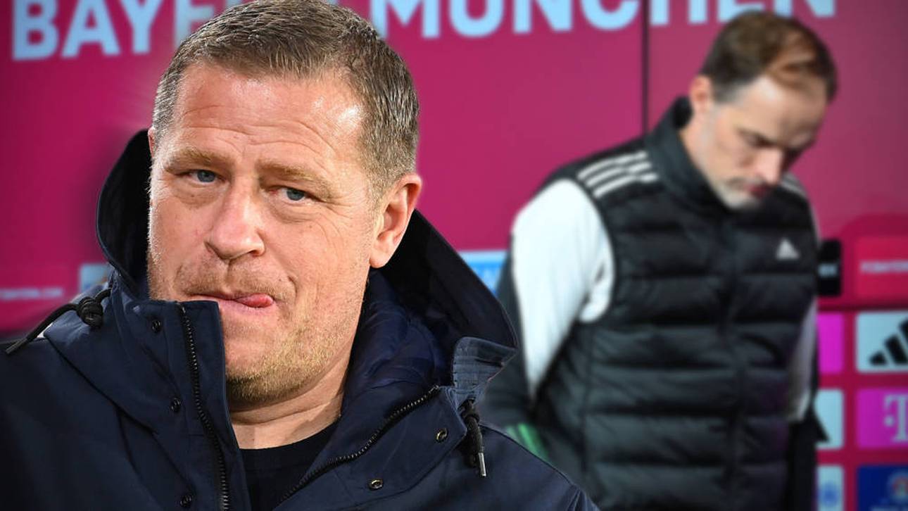 Neuer Tuchel-Job? Eberl warnt