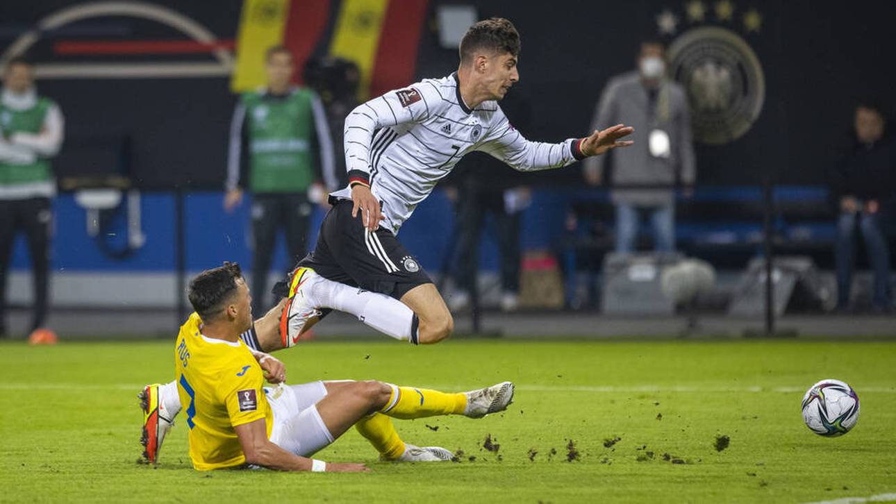 Wird er Flicks Benzema?