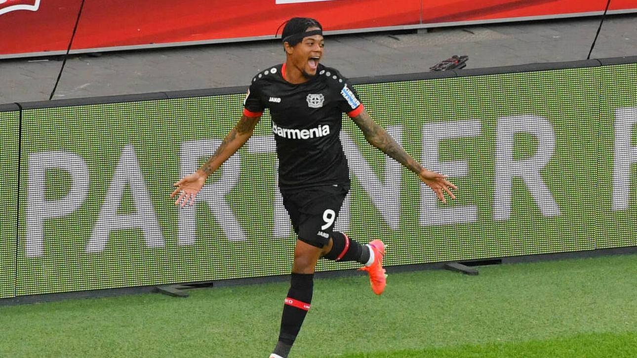 Fix! Bailey wechselt auf die Insel