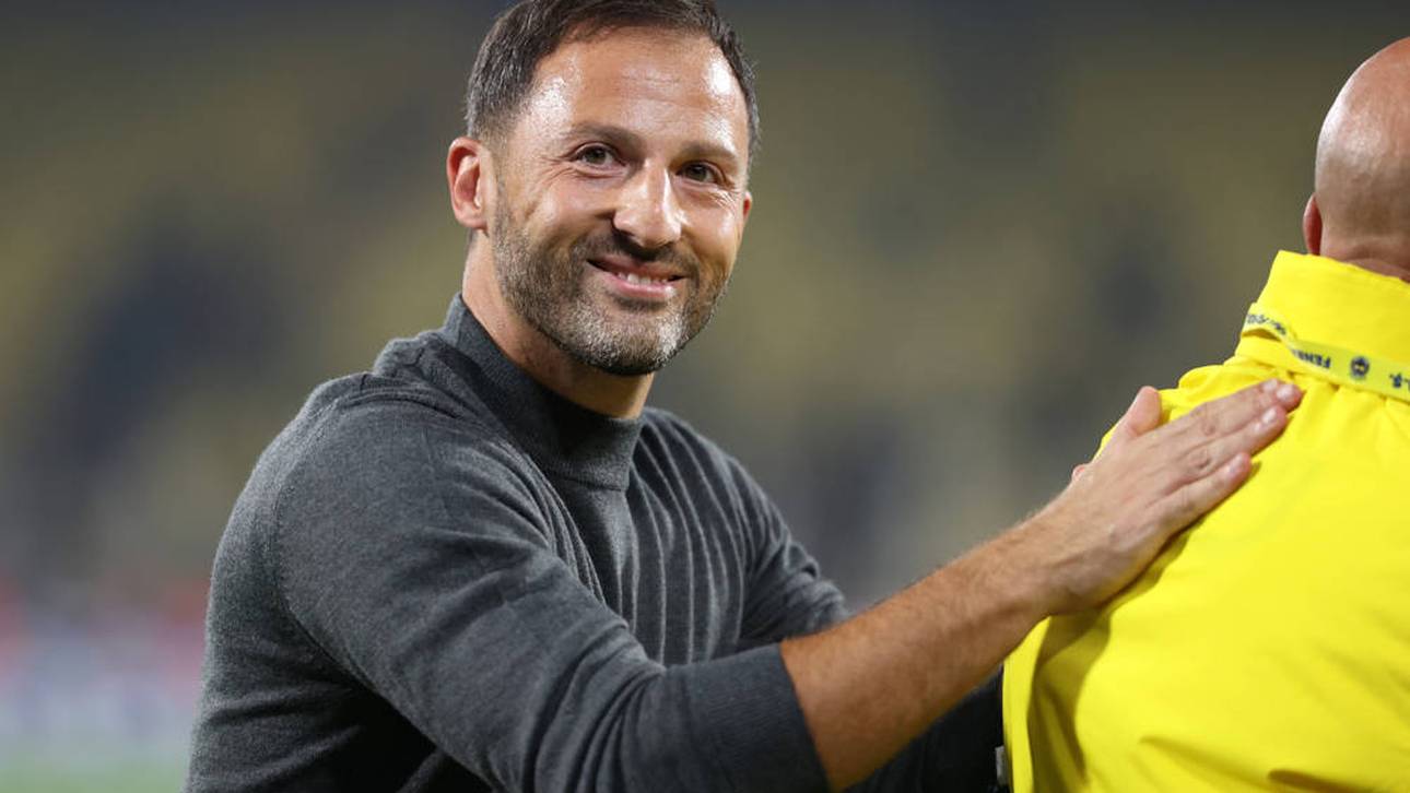 Domenico Tedesco ist seit Anfang September Trainer von Fenerbahçe