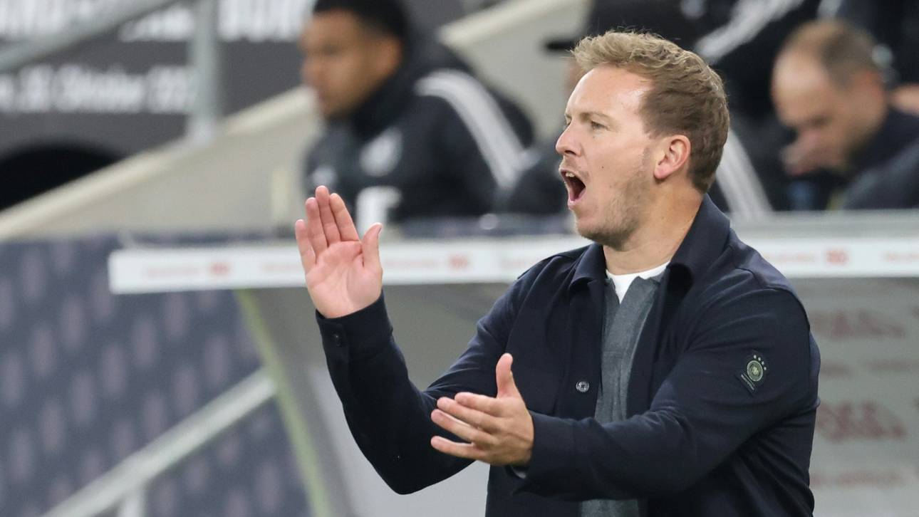 Nagelsmann warnt vor Nordirland