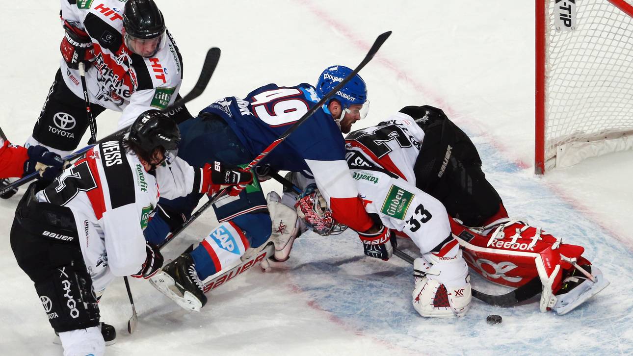 Haie: Meisterplan trotz Horrorsaison