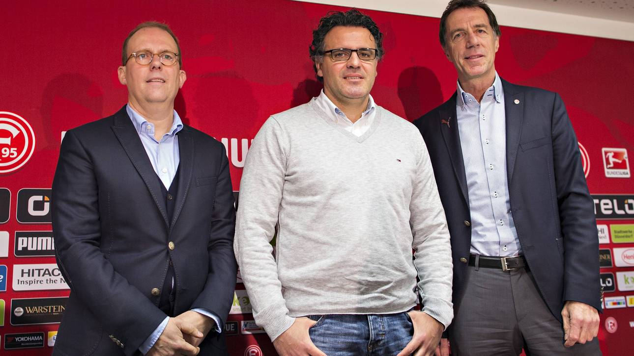 Aksoy nur Interimstrainer