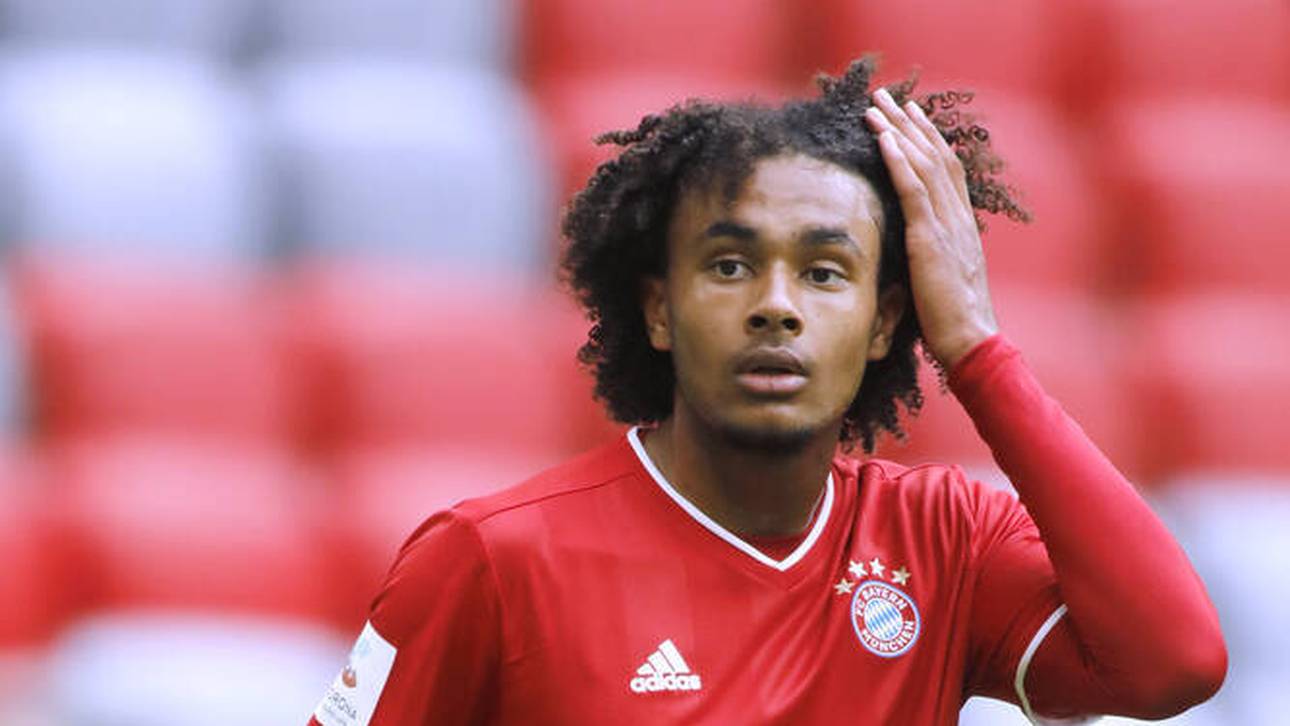 Warum Flick Zirkzee nun Druck macht