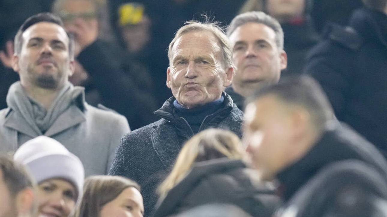 Effenberg zerlegt BVB