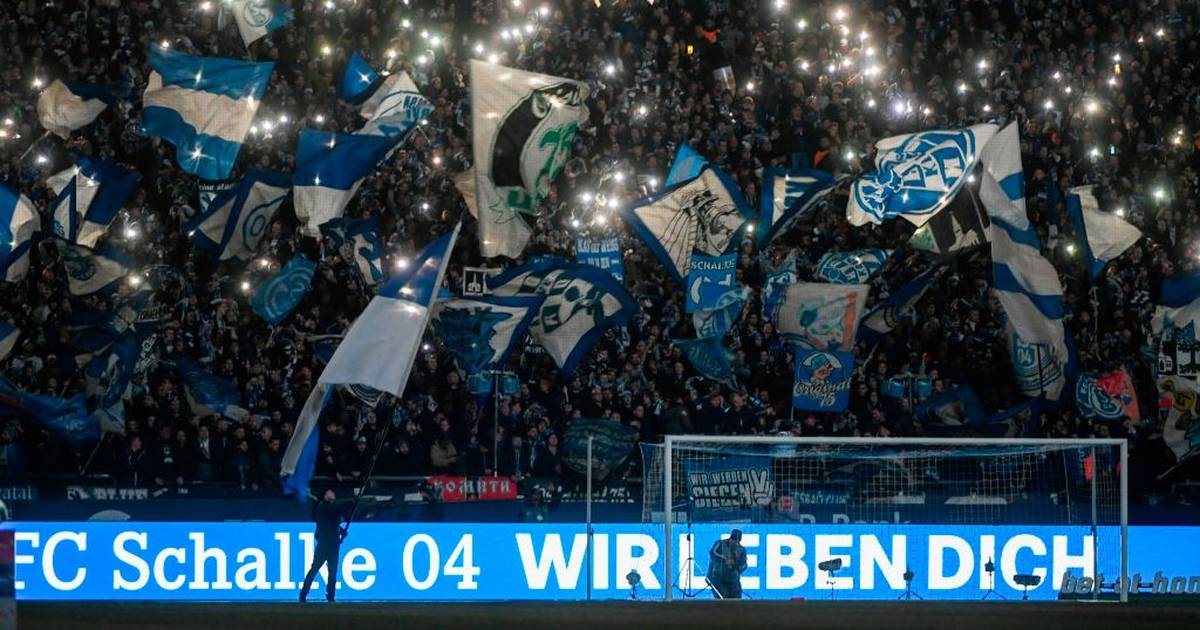 Fc Schalke 04 Ausgliederung Spaltet Den Verein Und Die Fans