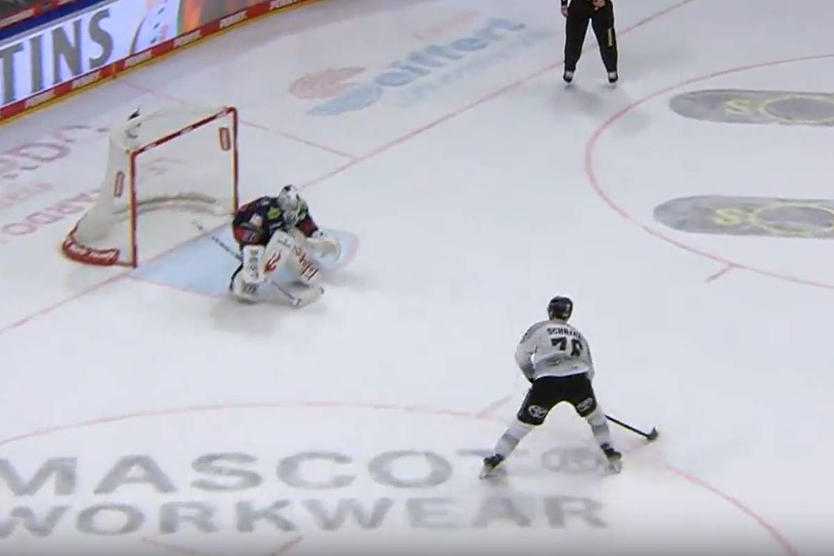 Penaltysieg! Haie gewinnen Klassiker gegen Eisbären