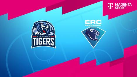 Straubing Tigers - ERC Ingolstadt: Tore und Highlights | PENNY DEL