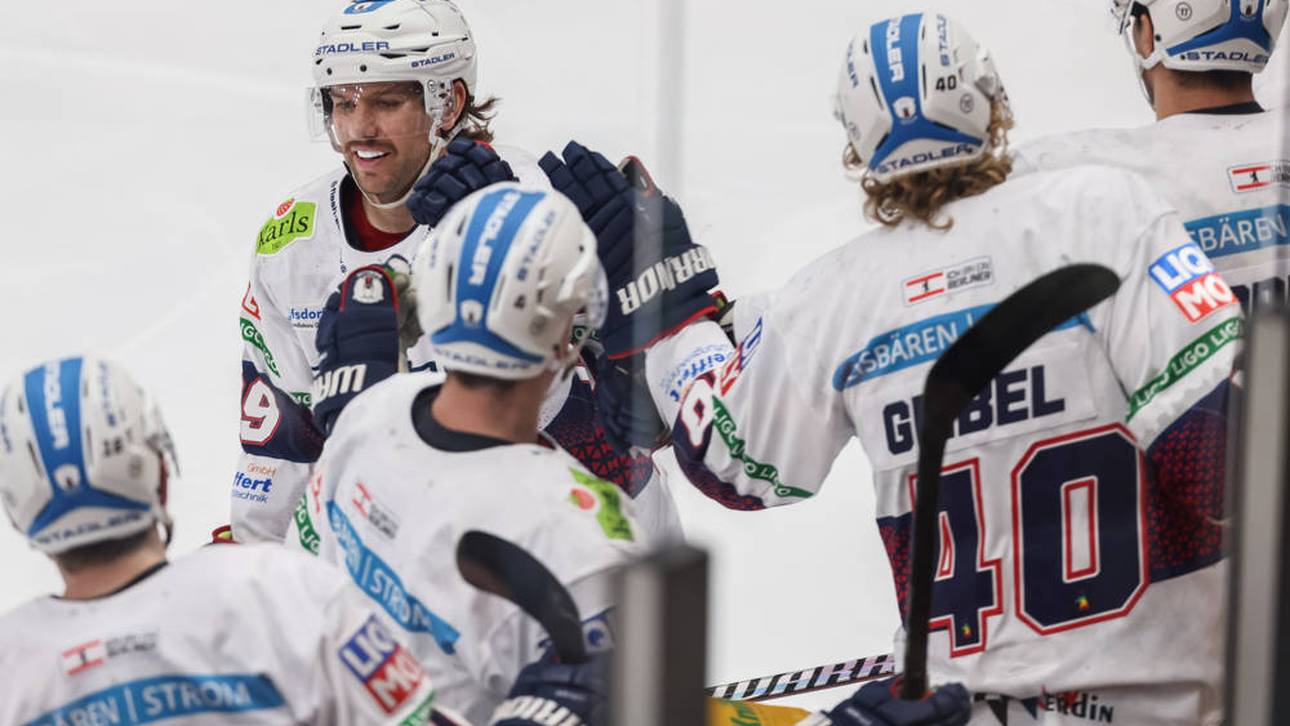 Eisbären wieder in der Erfolgsspur