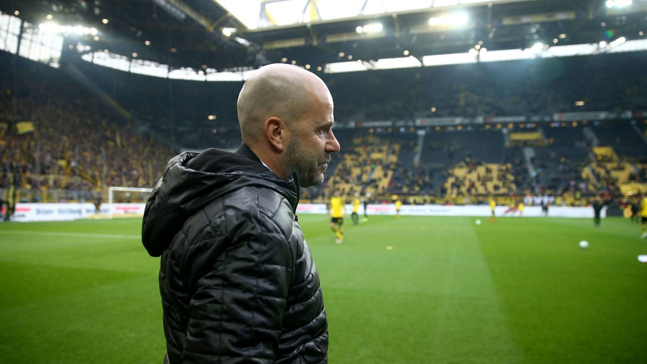 Nach Rauswurf: Jetzt spricht Bosz