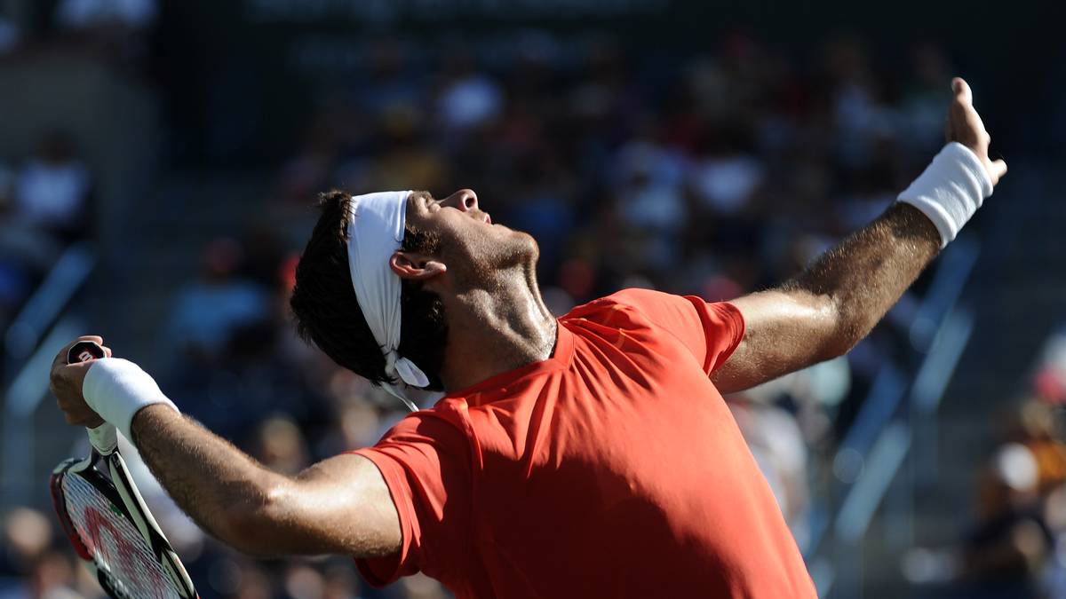 Am Ende des Jahres kämpft er sich trotzdem wieder bis auf Platz elf zurück und führt Argentinien obendrein ins Davis-Cup-Finale, wofür er von der ATP zum "Comeback Player des Jahres" gewählt wird

