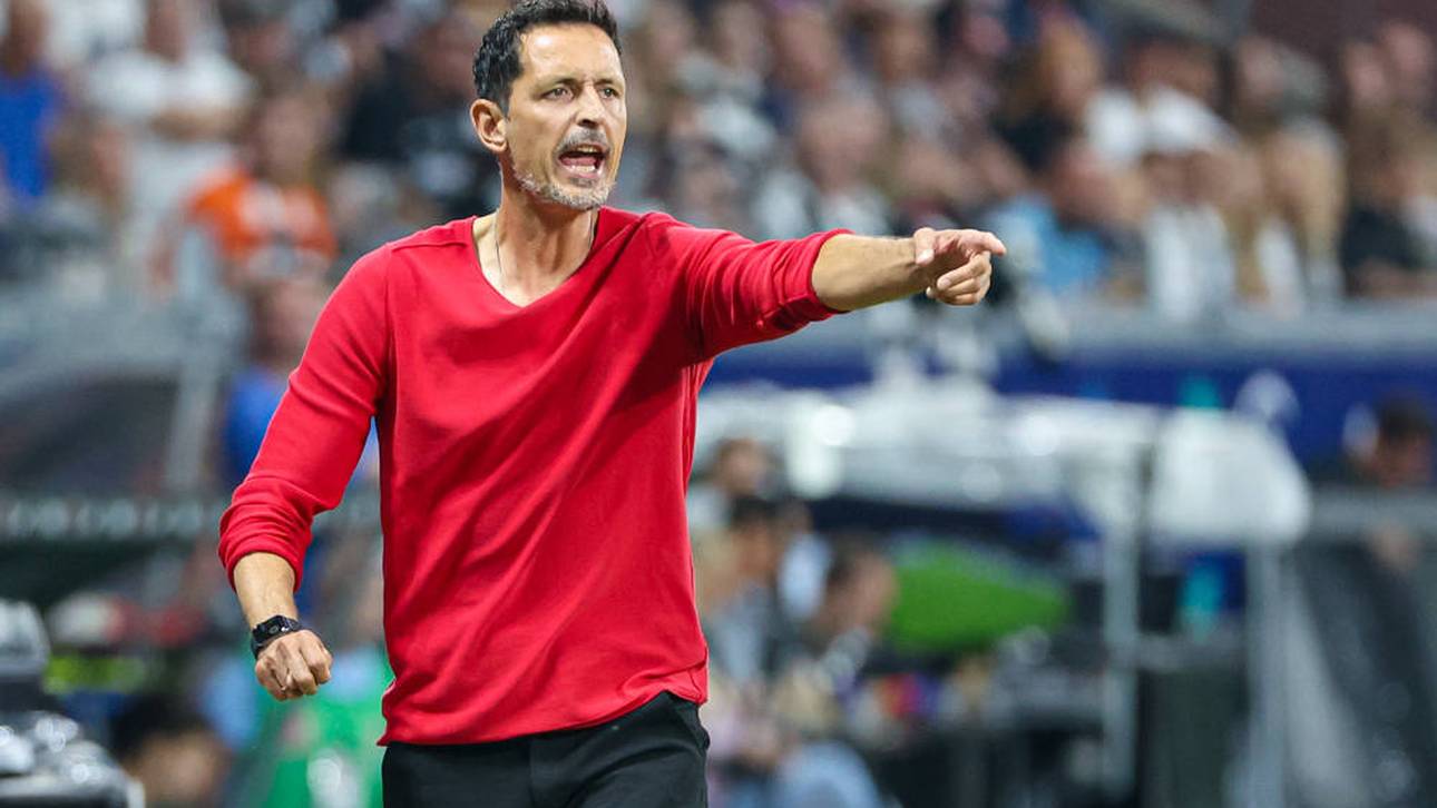 Frankfurt will Horrorserie beenden