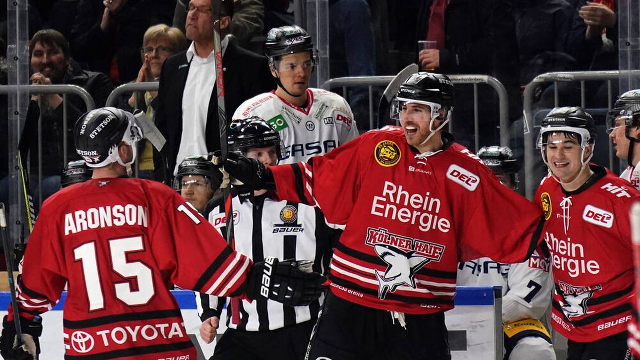 Auch Haie sagen für DEL-Saison zu