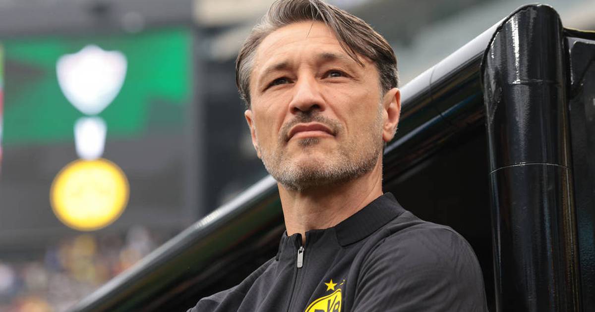 Bundesliga: DFB-Coach zum BVB - Kovac holt sich Verstärkung!