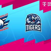 Adler Mannheim - Straubing Tigers (Highlights)