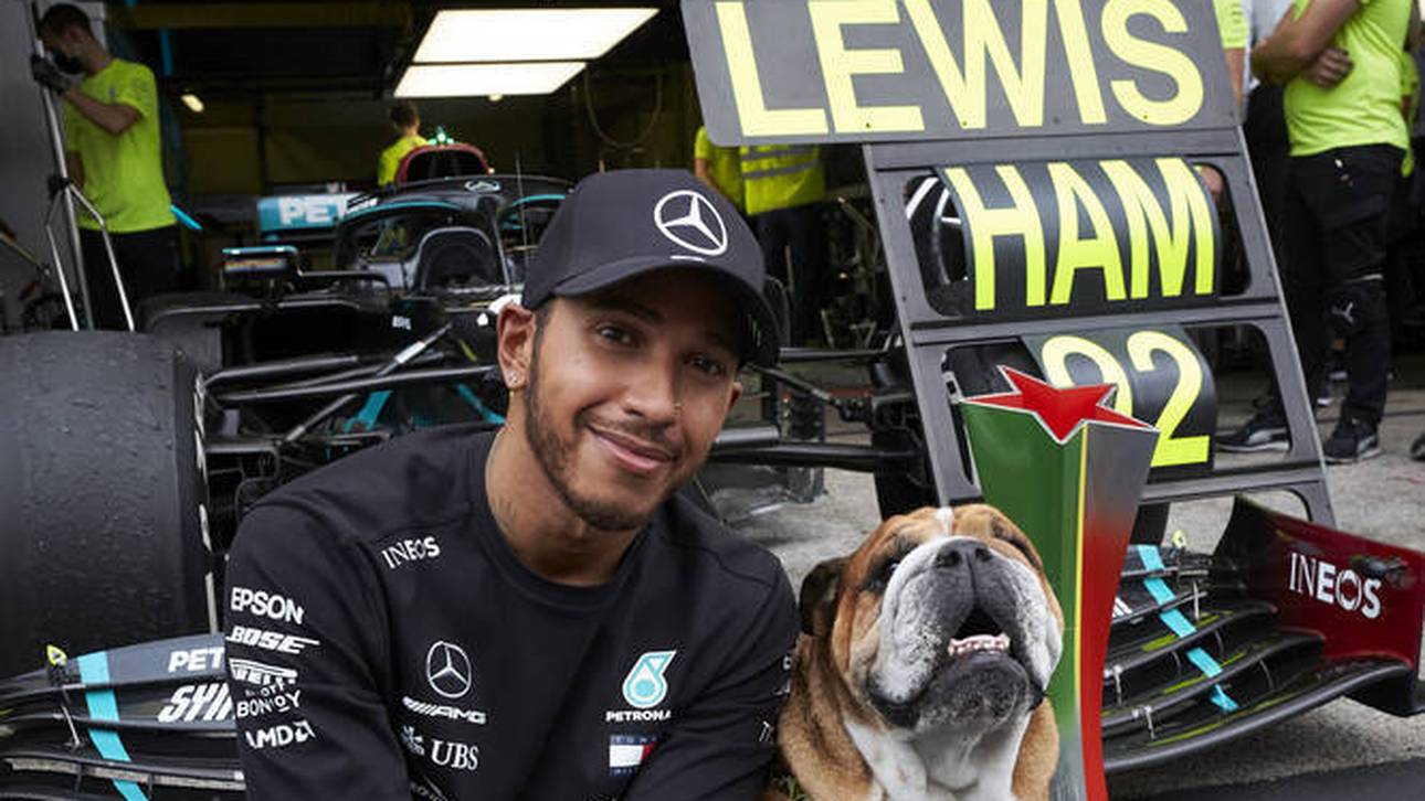 Hamilton deutet Karriereende an