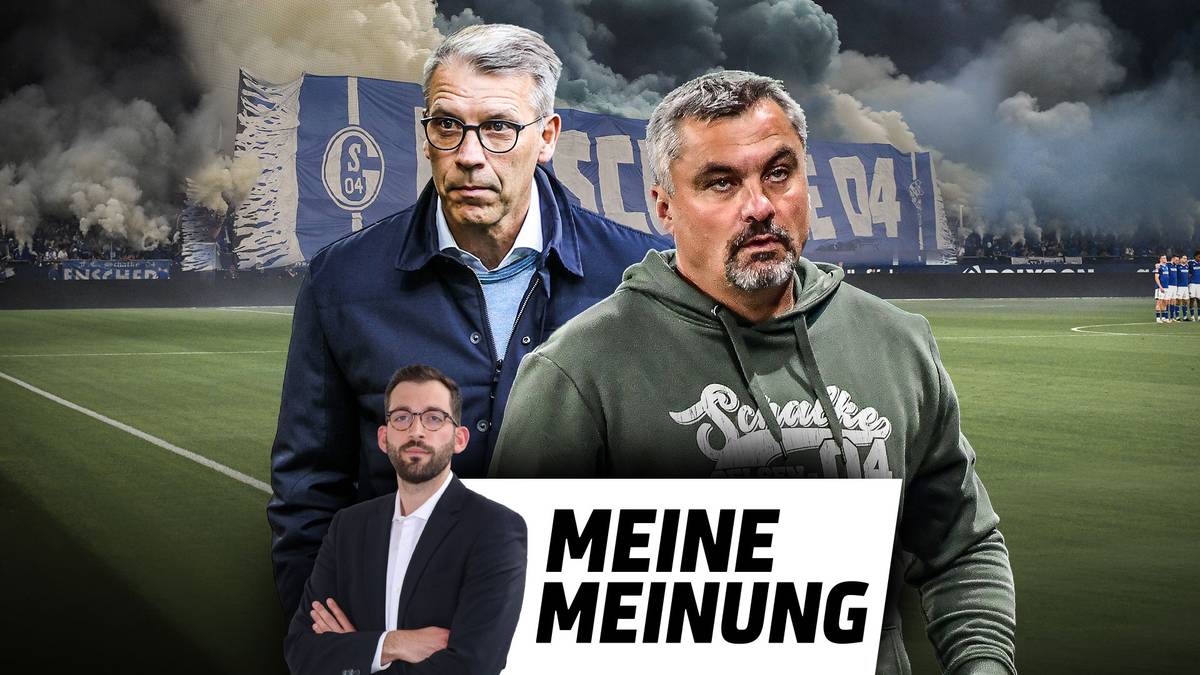 Schalke rennt ins völlige Verderben!