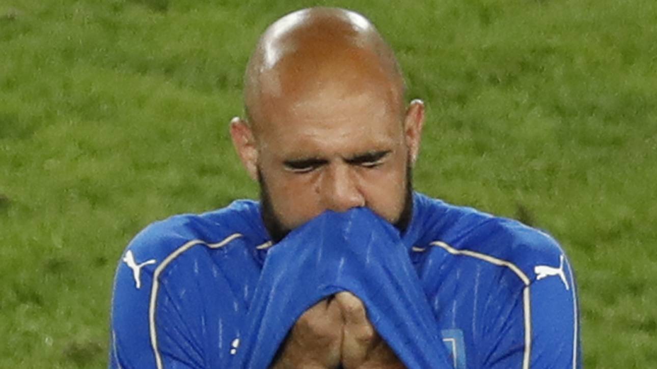 Zaza-Elfer macht das Netz gaga