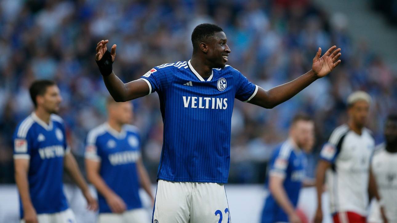 Schalker Cisse rassistisch beleidigt