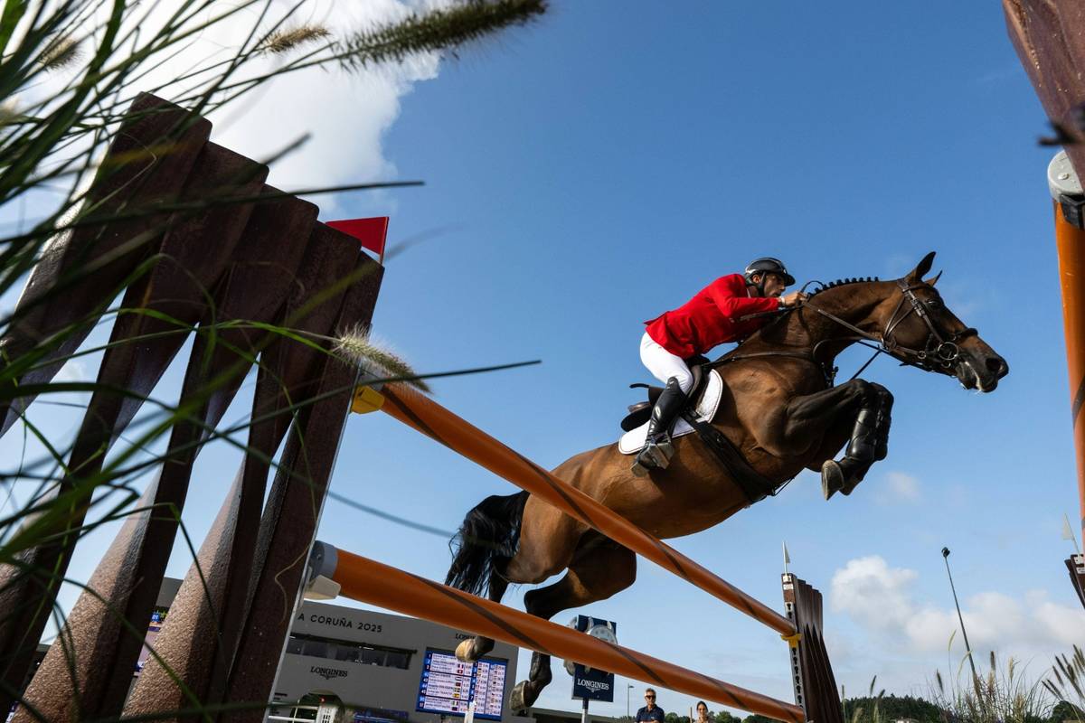 Springreit-EM: Deutschland holt Bronze