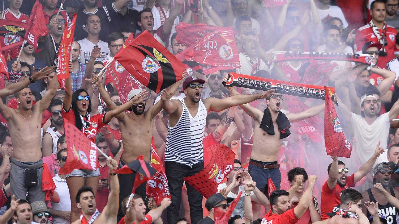 Ermittlungen nach Polizei-Gewalt