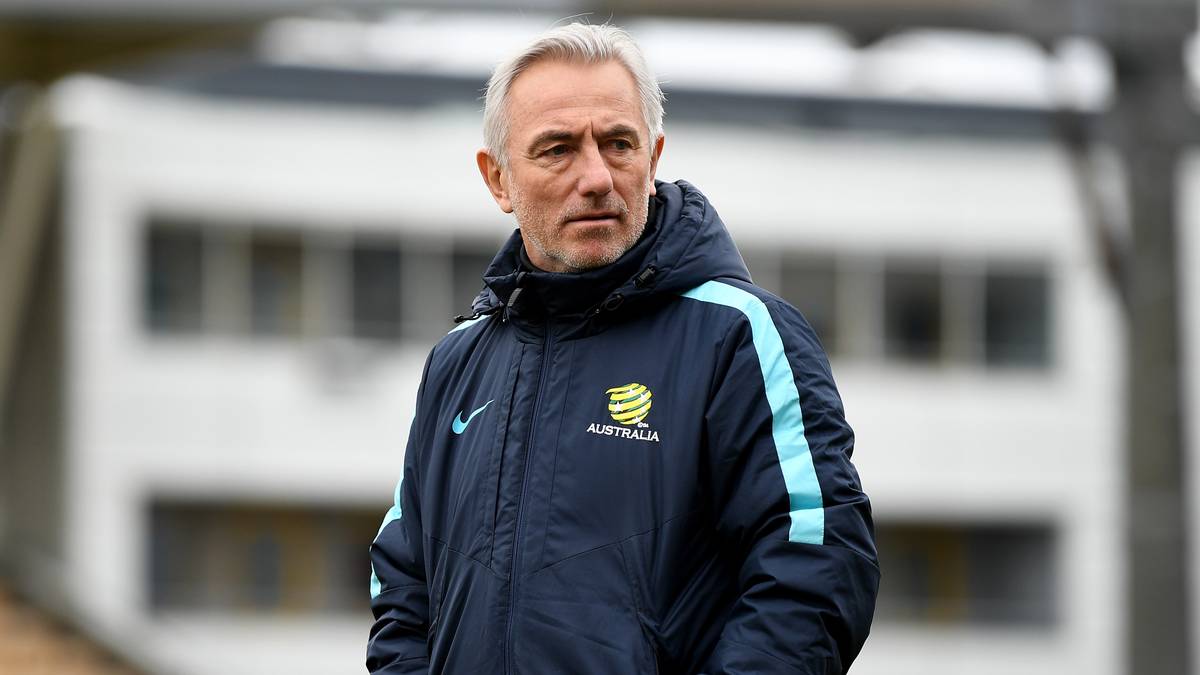 Dazwischen war er vier Jahre für die Nationalelf der Niederlande verantwortlich und zuletzt bis Ende der Weltmeisterschaft 2018 Trainer der australischen Nationalmannschaft