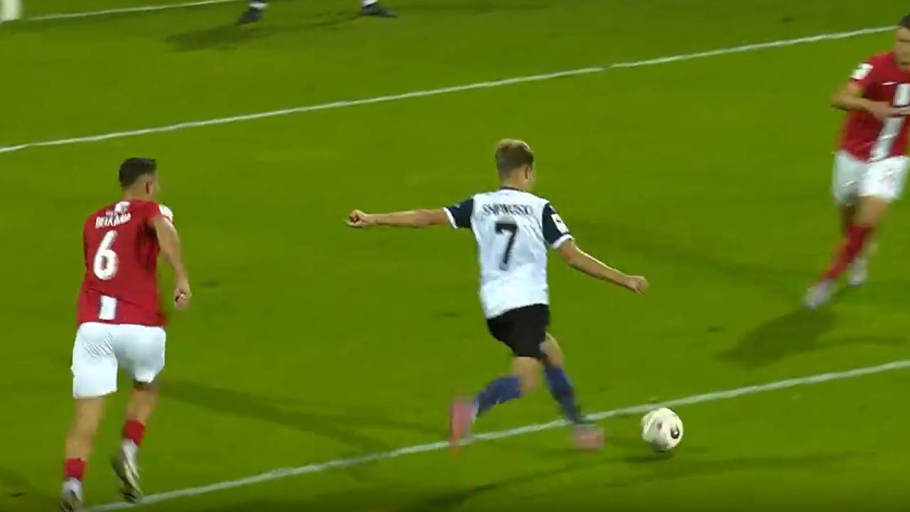TSV Havelse - SV Waldhof Mannheim (Highlights)