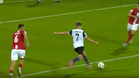 TSV Havelse - SV Waldhof Mannheim: Tore und Highlights | 3. Liga