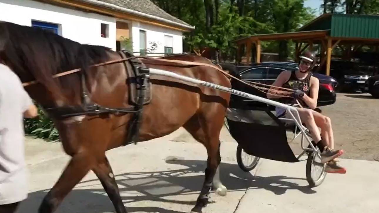 Historische Wahl beim NBA-MVP