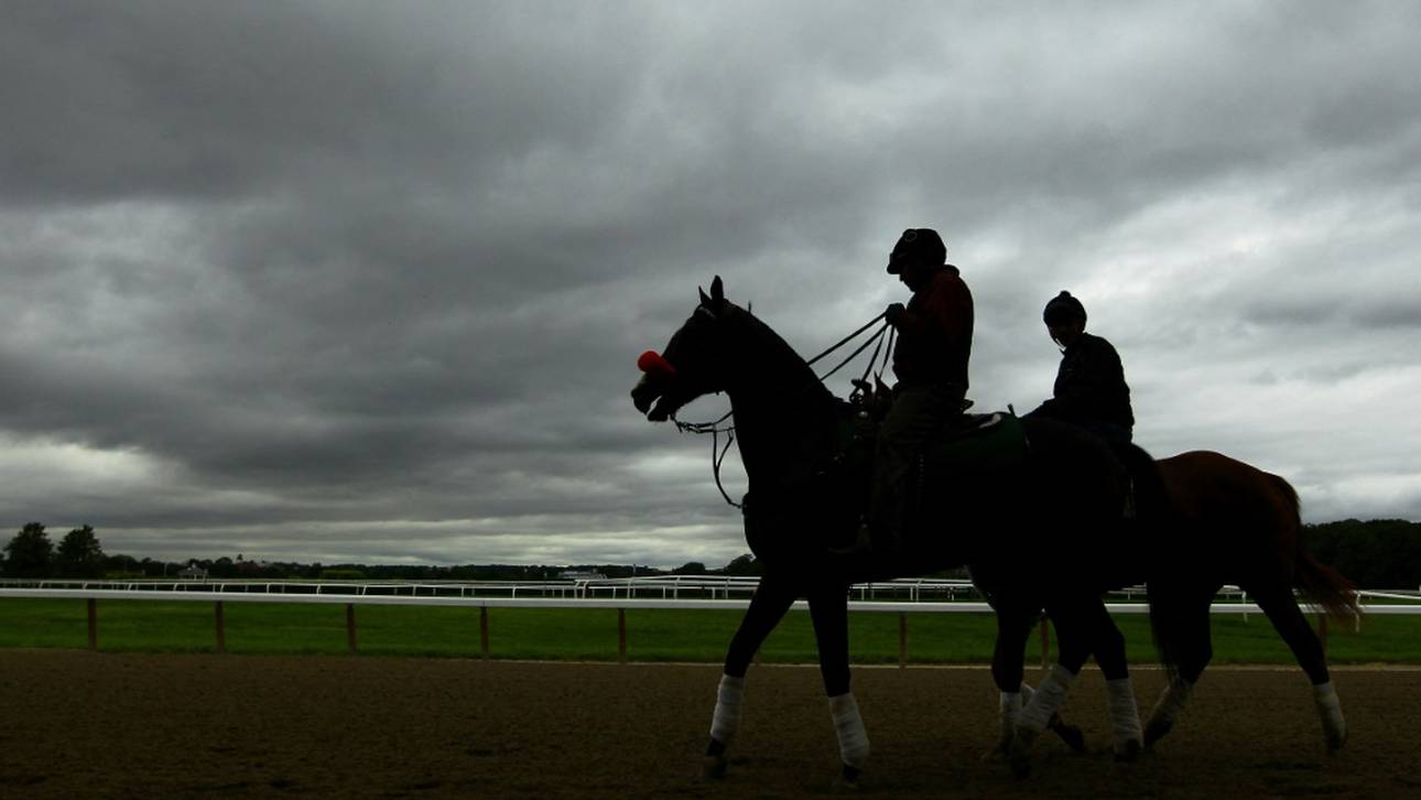 Tierquälerei: Weltverband sperrt brasilianischen Olympia-Reiter