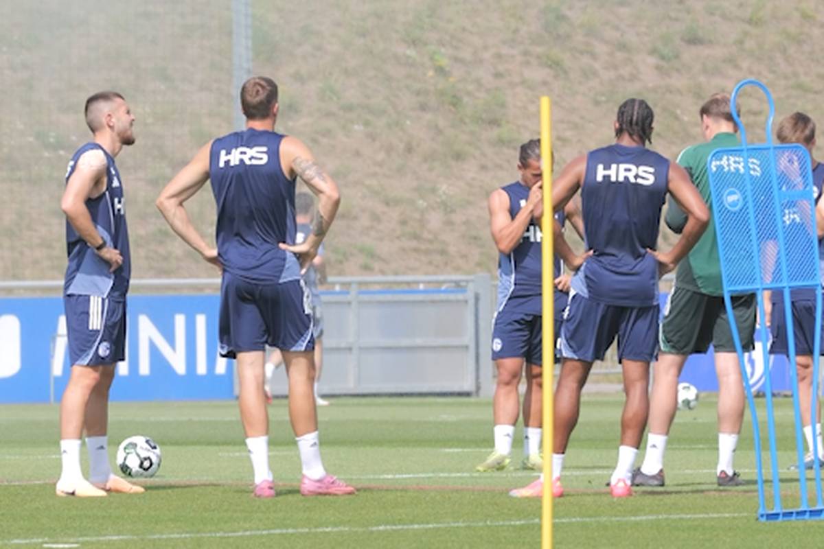 Nach dem Sieg gegen Hertha BSC und der Niederlage gegen den 1. FC Kaiserslautern kann man bei Schalke 04 von einem durchschnittlichen Saisonstart sprechen. Braucht der Kader noch Verstärkung? Am Sonntag spielen die Knappen im DFB-Pokal bei Lok Leipzig.