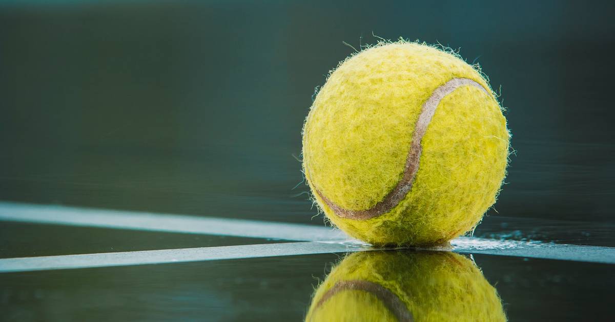 Wer gewinnt die Davis Cup Finals 2024? Wettquoten & Favoriten