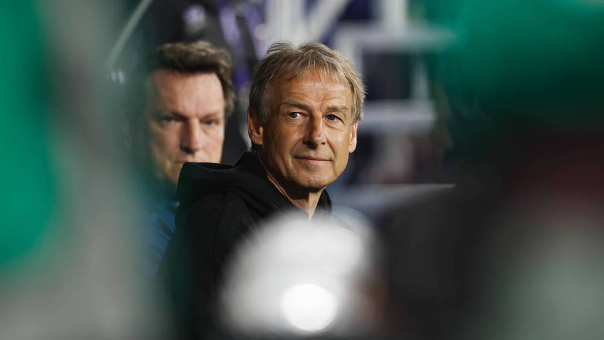 "Es war ein Ego-Trip von Klinsmann"