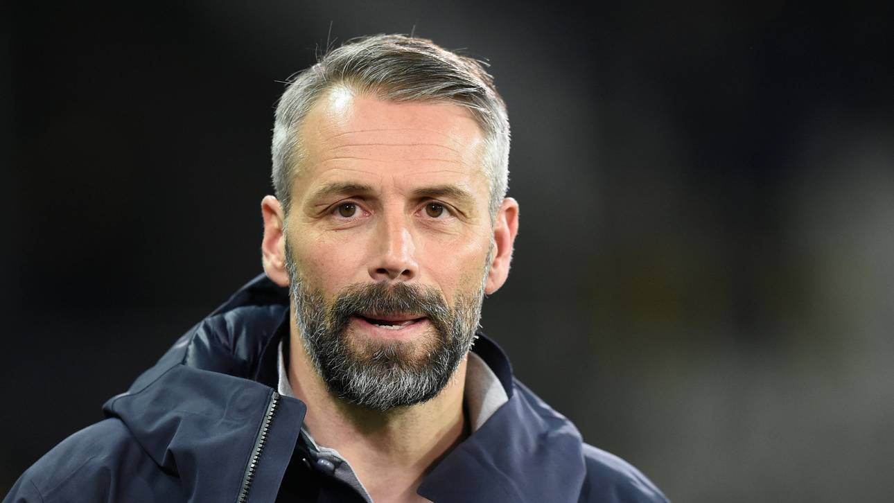 Rose wird Hecking-Nachfolger