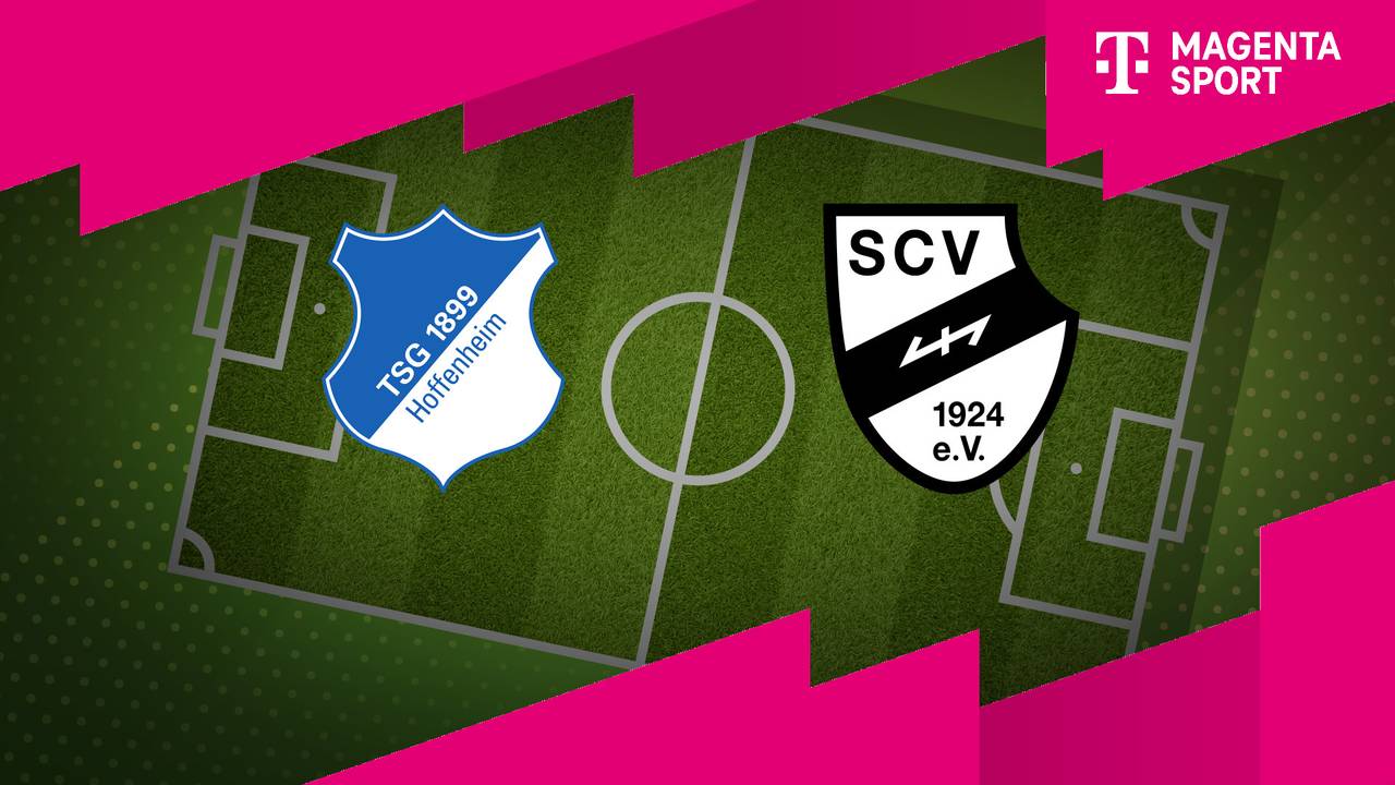 TSG Hoffenheim II - SC Verl (Highlights)