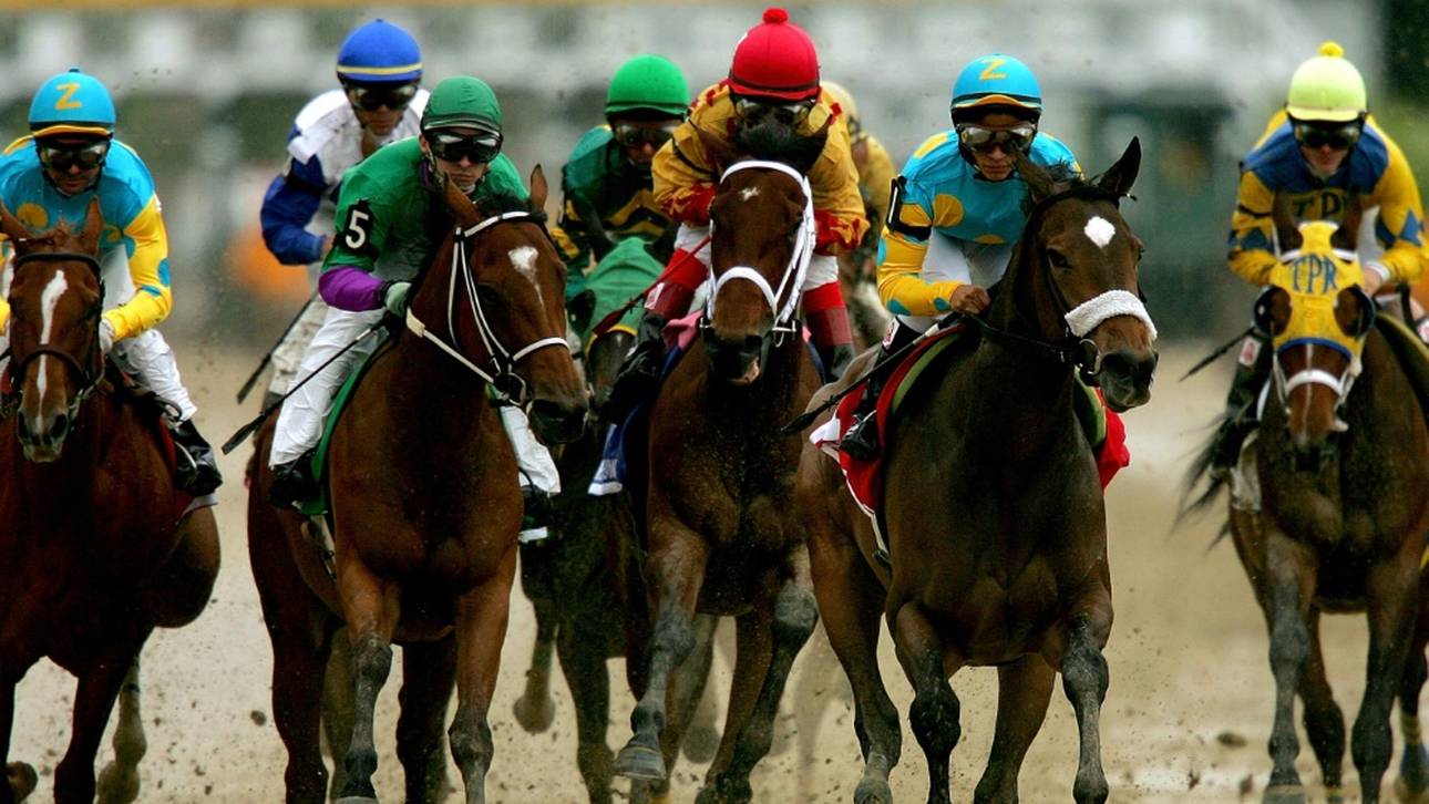 Pferd beißt Finger von Jockey ab