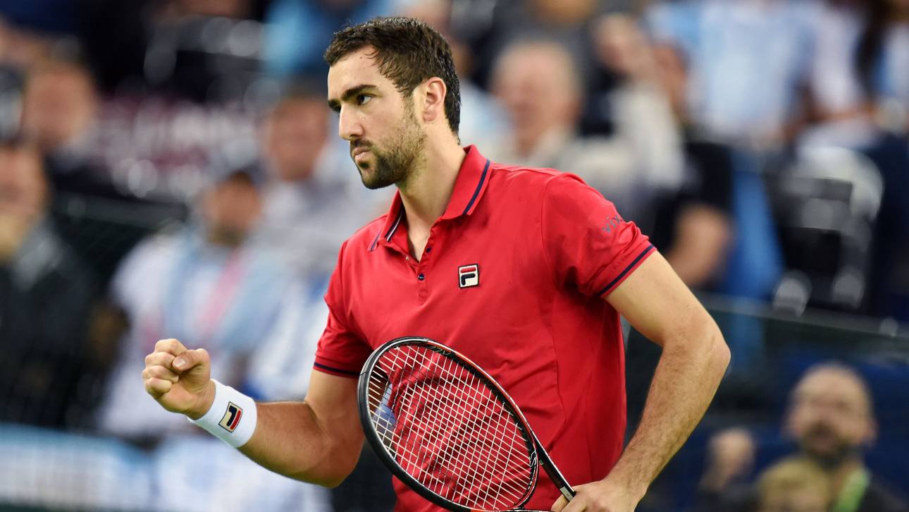 Cilic bringt Kroatien in Führung