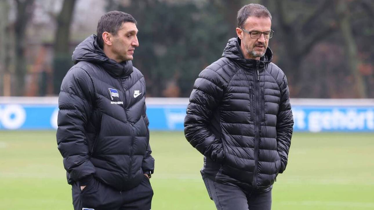 Bobic pampt Sky-Moderator an