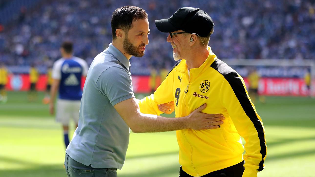 Die Trainer-Kandidaten beim VfB