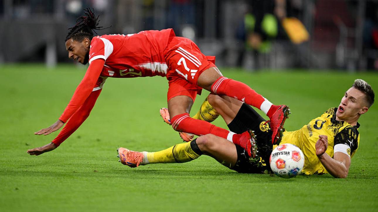 Bärenstarker Schlotterbeck