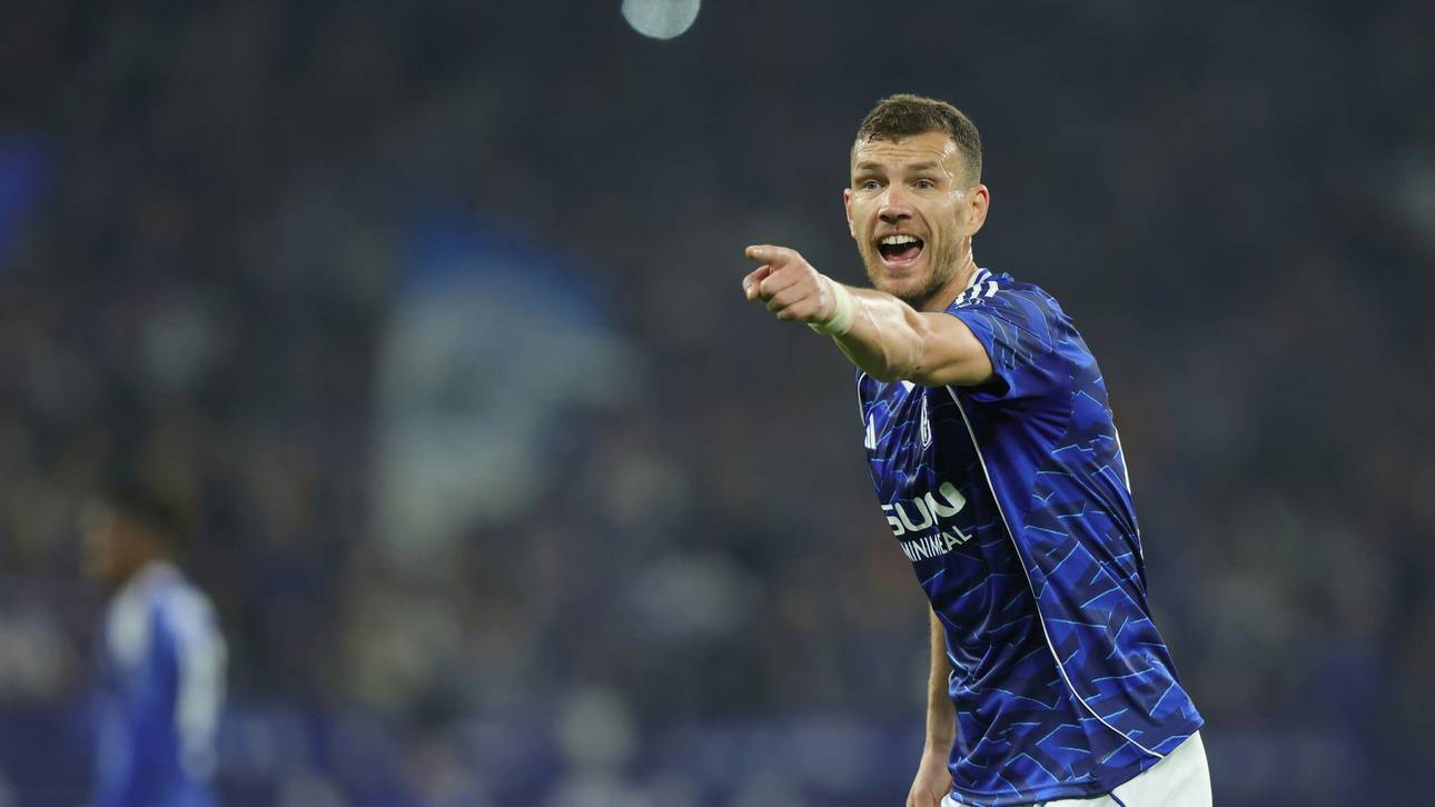 Medien: Dzeko bleibt bei Schalke