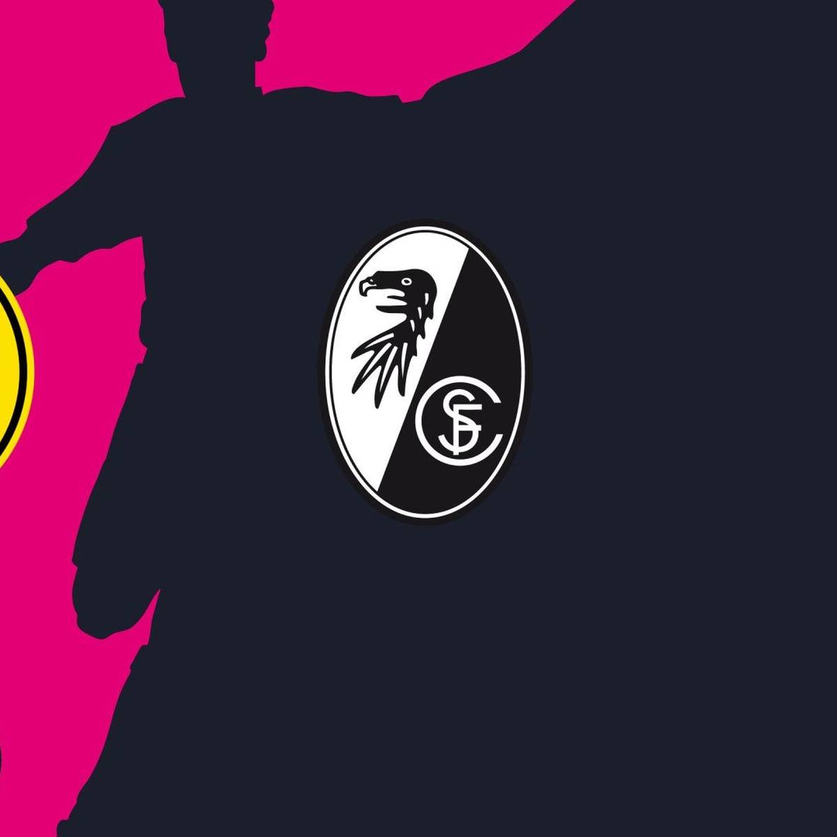 Borussia Dortmund II - SC Freiburg II (Highlights)