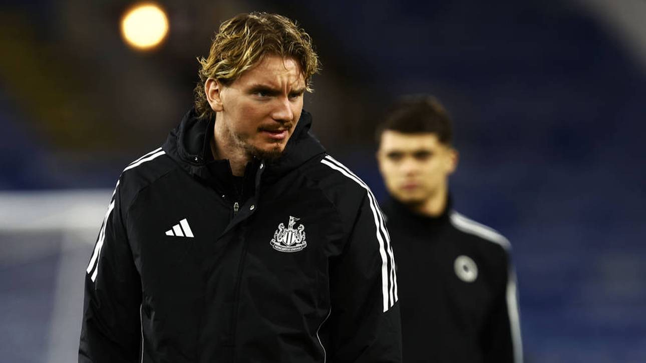 Woltemades Serie gerissen