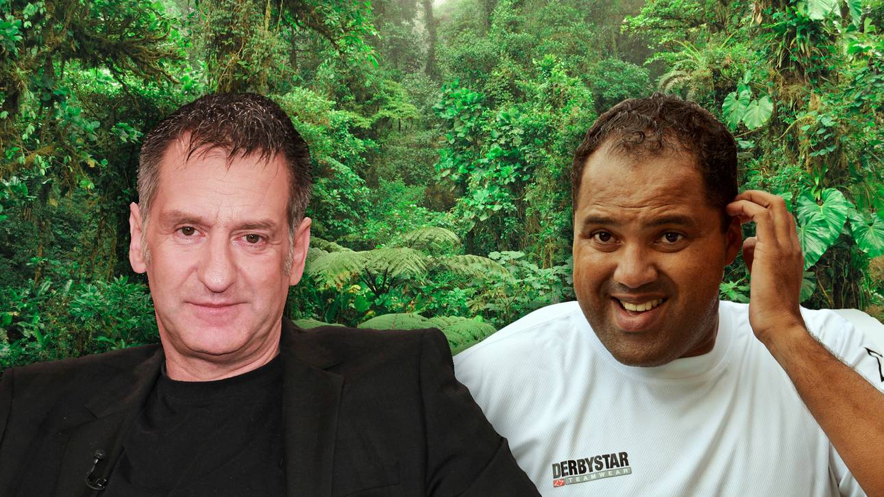 Ailton will zurück in den Dschungel