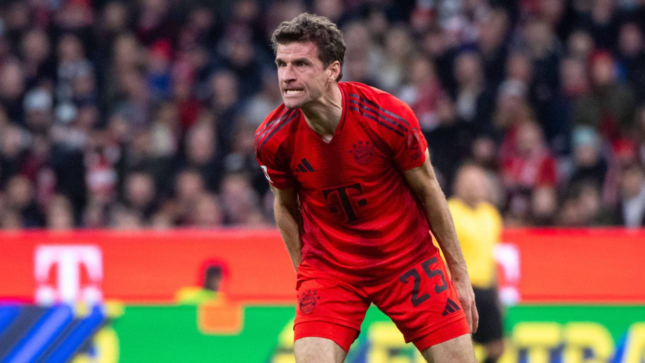 Brisante Hoeneß-Aussagen